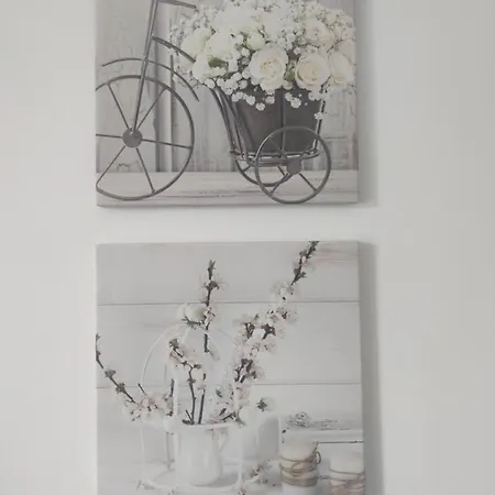 Petite Maison *